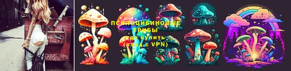 молекула духа Алексин